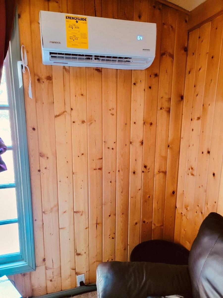 Snow Bunny Cottage, Pets Welcomed! Green Valley Lake Eksteriør billede
