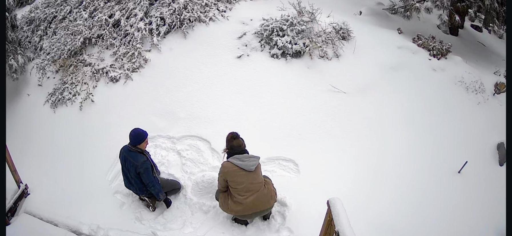 Snow Bunny Cottage, Pets Welcomed! Green Valley Lake Eksteriør billede